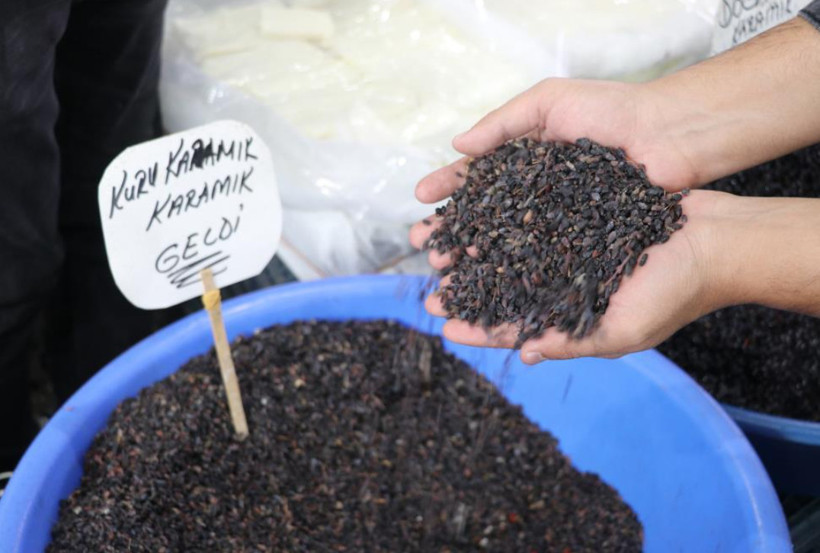 Dağlarda kendiliğinden yetişiyor, kilosu 100 TL'den satılıyor: Yılda sadece bir ay bulunuyor - Resim: 4