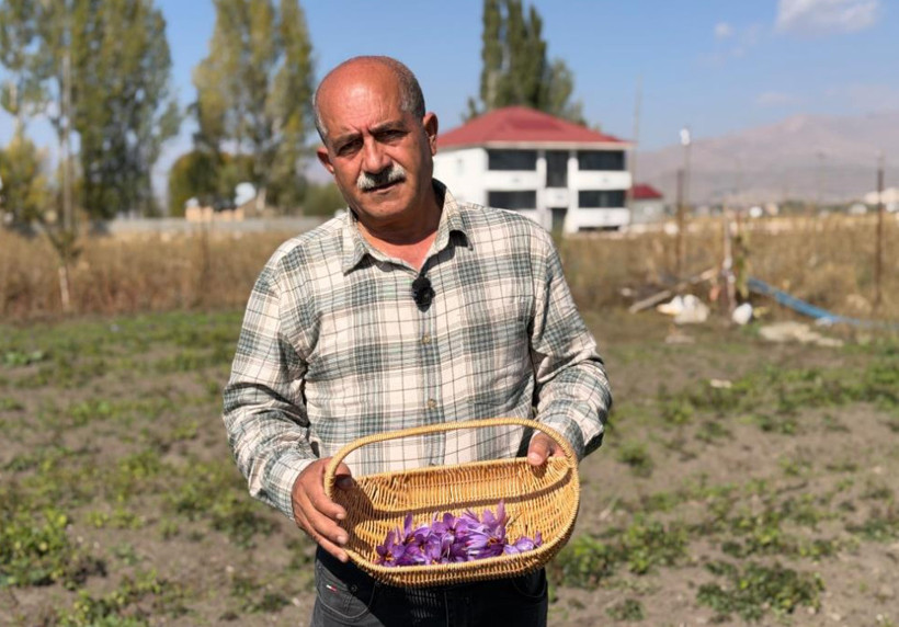 Esnaflığı bıraktı, dünyanın en pahalı baharatını yetiştirdi: Kilosu 1 milyon lira - Resim: 2