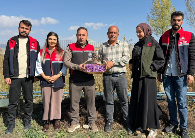 Esnaflığı bıraktı, dünyanın en pahalı baharatını yetiştirdi: Kilosu 1 milyon lira - Resim: 5