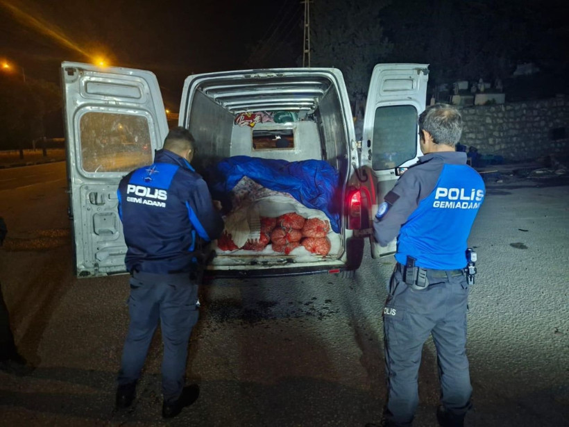 Piyasa değeri 2.5 milyon! Denize geri bıraktılar - Resim: 1