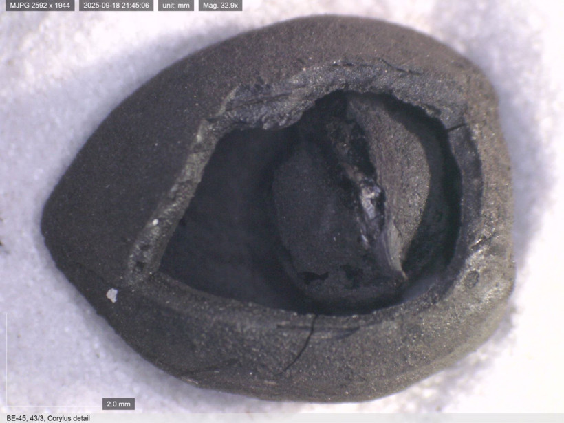Anadolu sofralarının 9 bin yıllık sırrı gün yüzüne çıktı - Resim : 2
