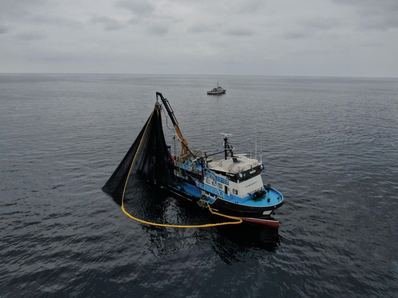 Hamside tehlike çanları! Yarı yarıya düştü - Resim: 12