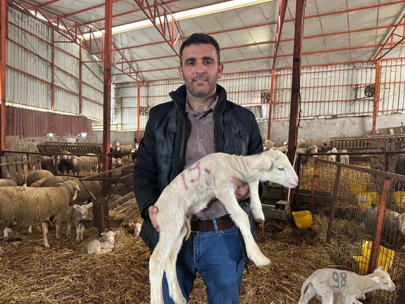 1 milyonluk ko&ccedil;, yatırımı 6'ya katlayacak: T&uuml;rkiye kuzuları i&ccedil;in sıraya girdi - Resim : 2