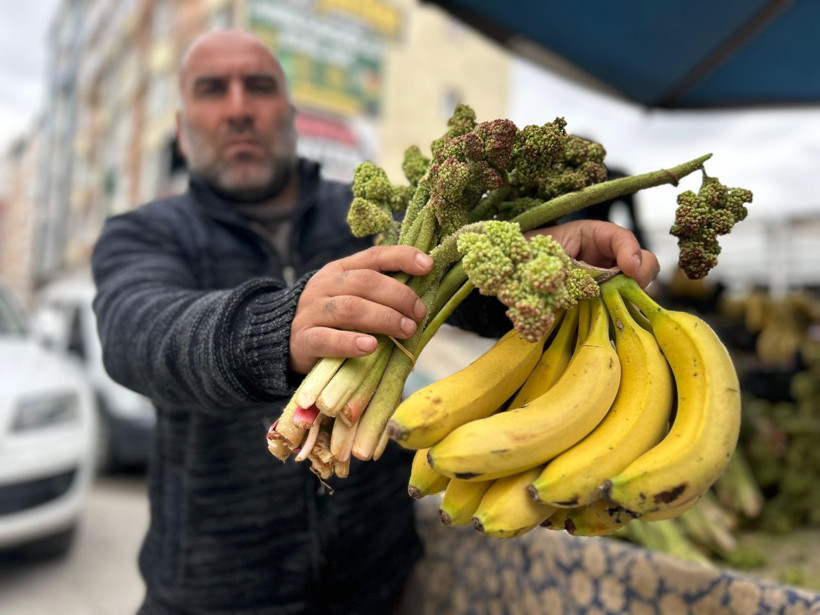 Dağların zirvesinden tezgâha indi: 700 liradan 400’e düştü, kapış kapış gidiyor - Resim: 6
