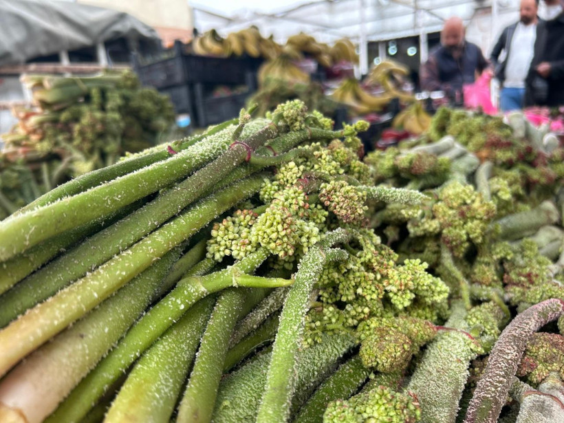 Dağların zirvesinden tezgâha indi: 700 liradan 400’e düştü, kapış kapış gidiyor - Resim: 7