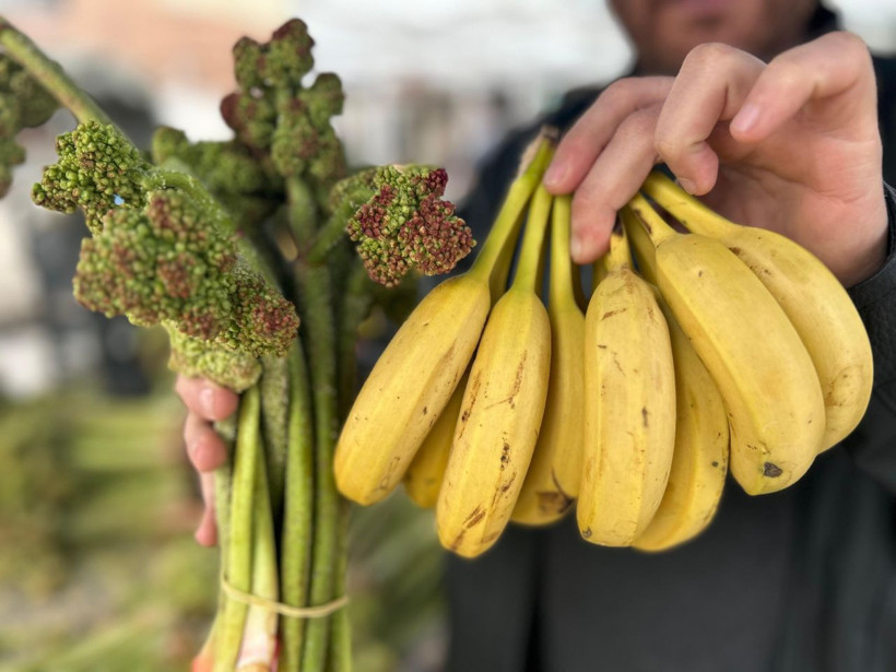 Dağların zirvesinden tezgâha indi: 700 liradan 400’e düştü, kapış kapış gidiyor - Resim: 3