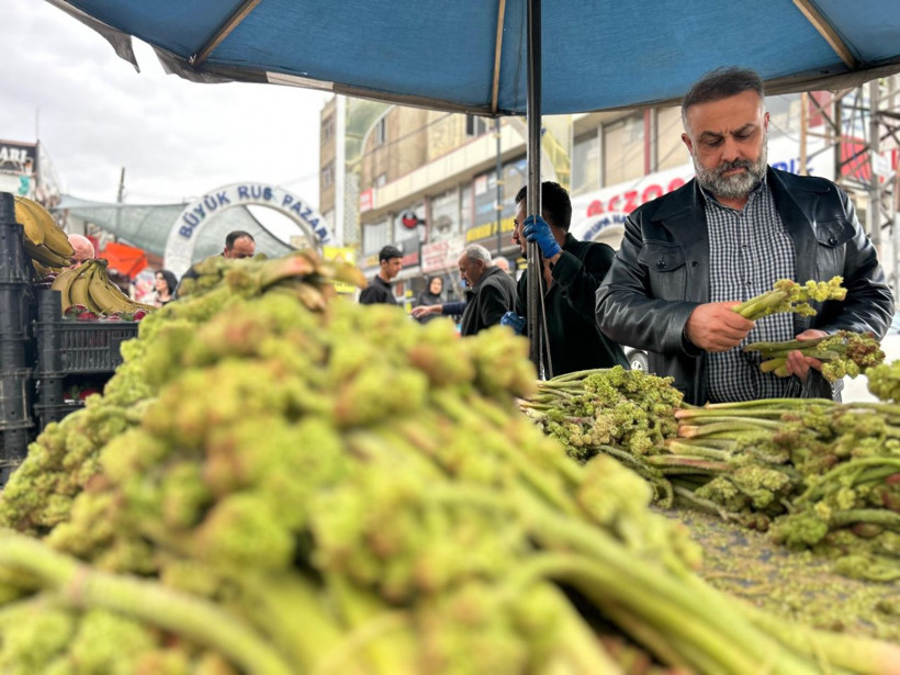 Dağların zirvesinden tezgâha indi: 700 liradan 400’e düştü, kapış kapış gidiyor - Resim: 1