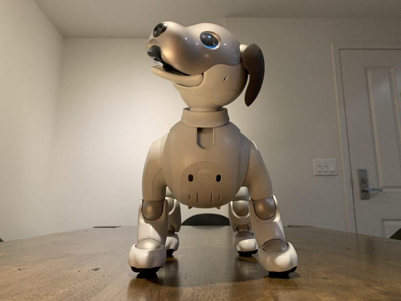 Sony'den sürpriz karar! Efsane robot köpek Aibo'nun satışı durduruldu - Resim: 3