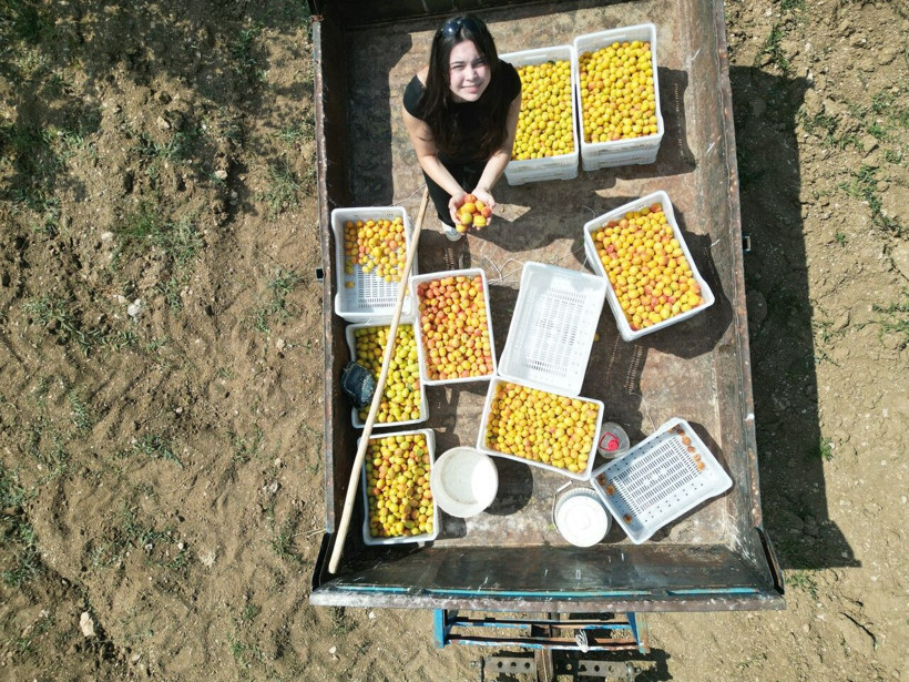 Susuz yaylada başladı, 10 bin ağaca ulaştı: 17 yaşındaki öğrencinin projesine dünya çapında ödül - Resim: 4