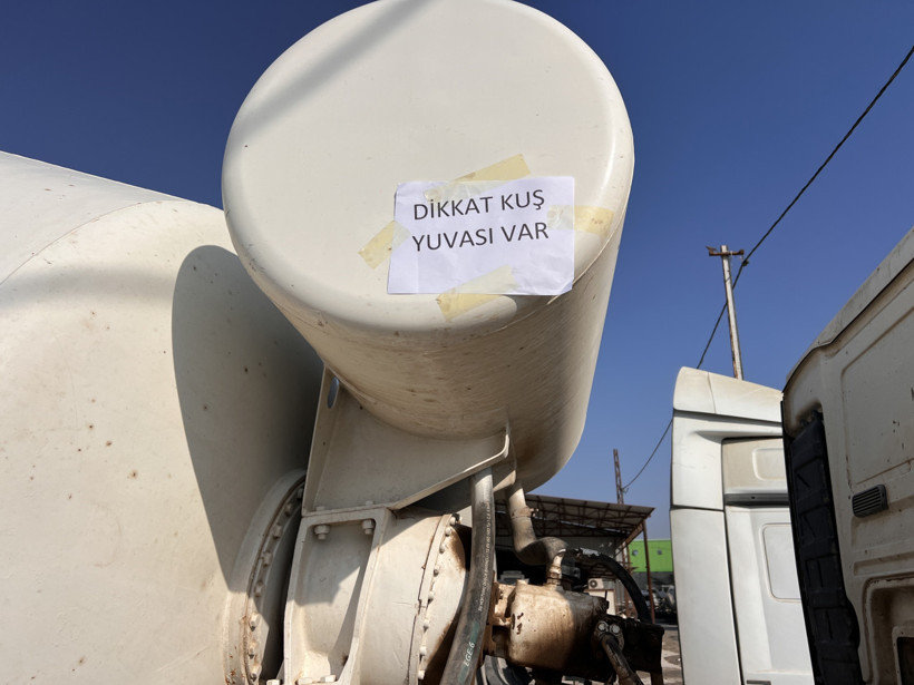 Beton mikserindeki kuş yuvasını fark edince... - Resim : 1