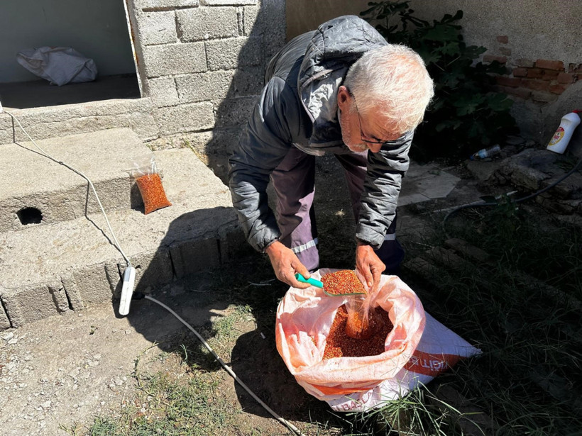 Gelir kapısı ata tohumuna dönünce açıldı: Kilosu 400 lira, kazancı 300 bin TL - Resim: 4