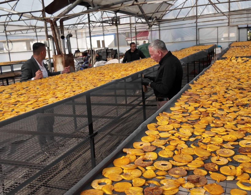 Binlerce ailenin geçim kaynağı! Bu kez de cipsini yaptılar - Resim: 6