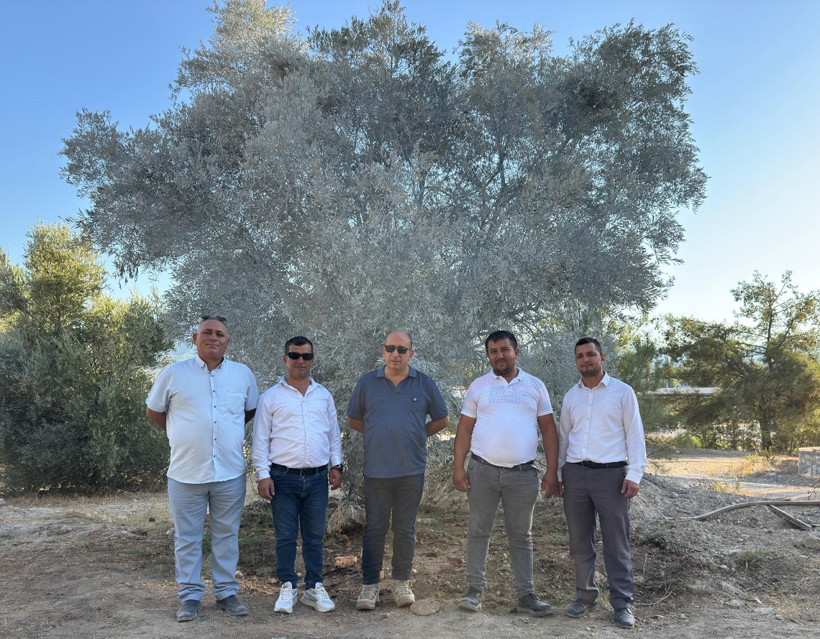 Zeytin taşımada pilot uygulama başarıyla sonuçlandı - Resim : 1