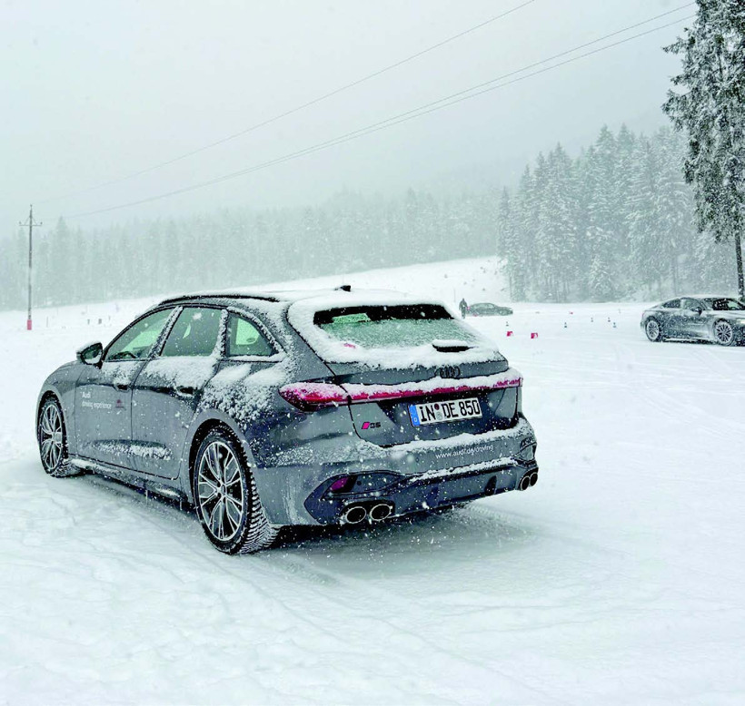 Alpler&rsquo;de s&uuml;r&uuml;ş eğitimi - Resim : 2