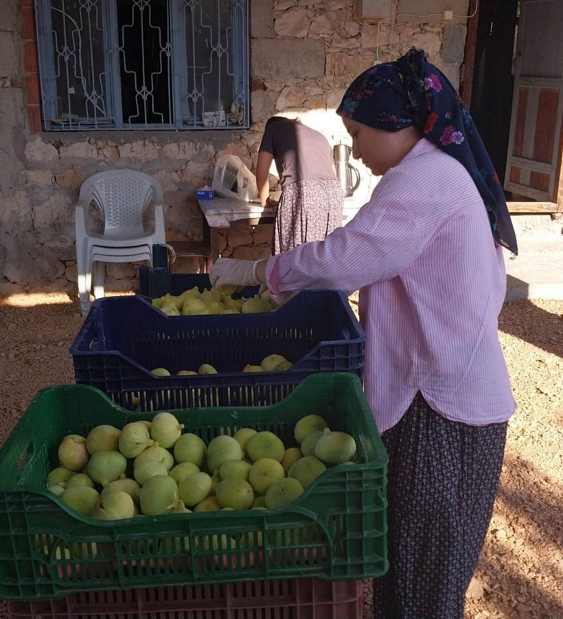 Tadı kaçtı: 90 bin tondan 30 bin tona düşebilir - Resim: 4