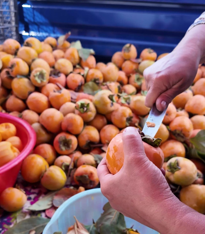 Binlerce ailenin geçim kaynağı! Bu kez de cipsini yaptılar - Resim: 8