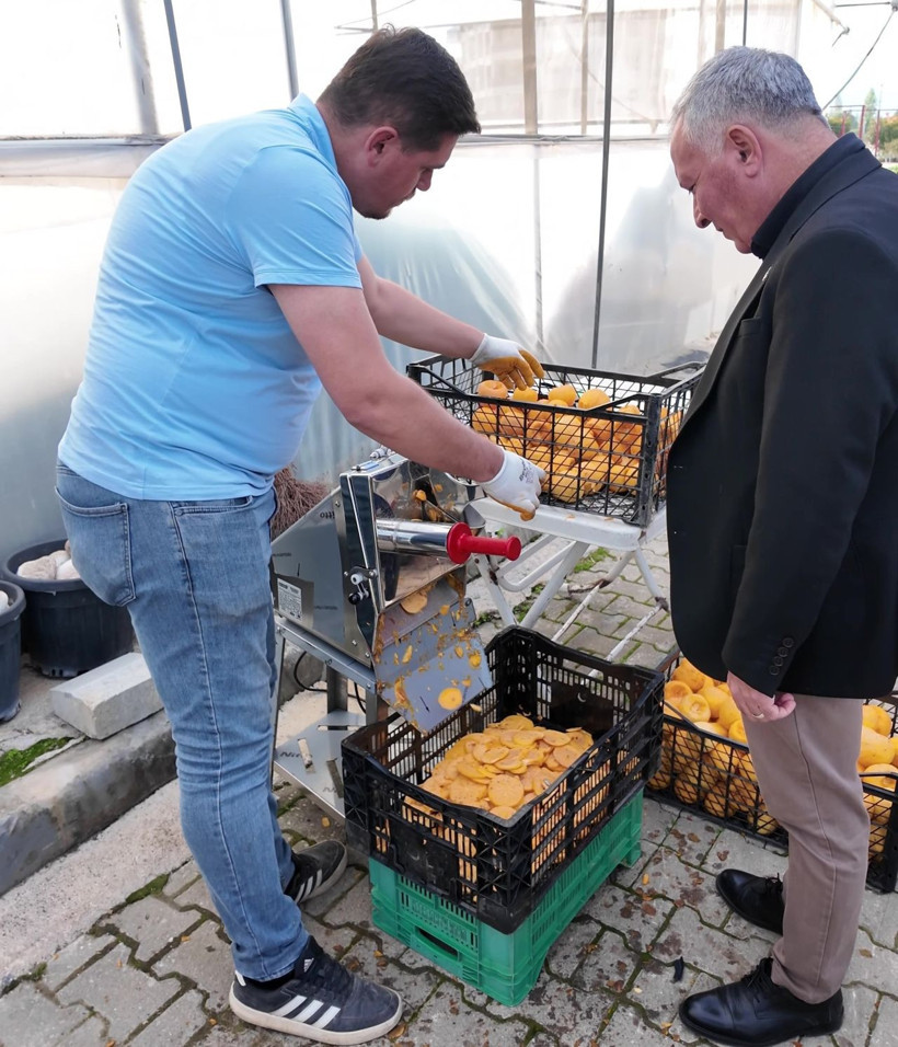 Binlerce ailenin geçim kaynağı! Bu kez de cipsini yaptılar - Resim: 4